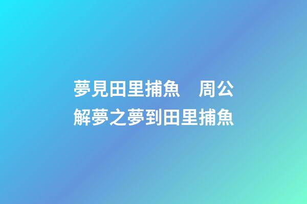 夢見田里捕魚　周公解夢之夢到田里捕魚
